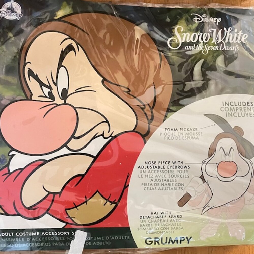 Disney Store Adult Grumpy Costume Accessories